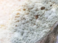 83807427-closeup-mold-bread-that-expired-on-wooden-board