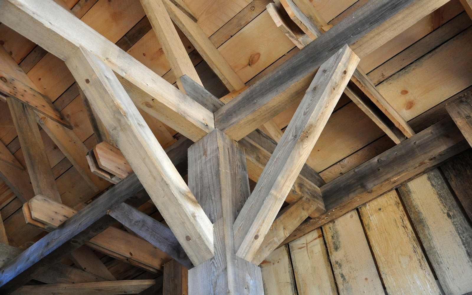 problemi-delle-colle-nelle-case-in-legno:-cosa-non-sapevi