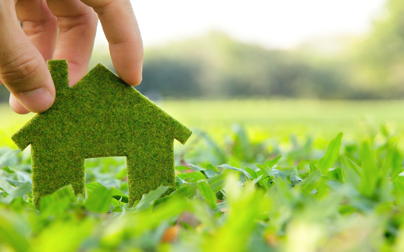 le-case-in-legno-sono-davvero-ecologiche?